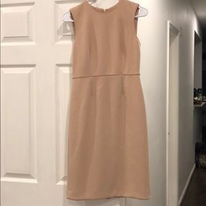 Dusty pink Ann Taylor dress